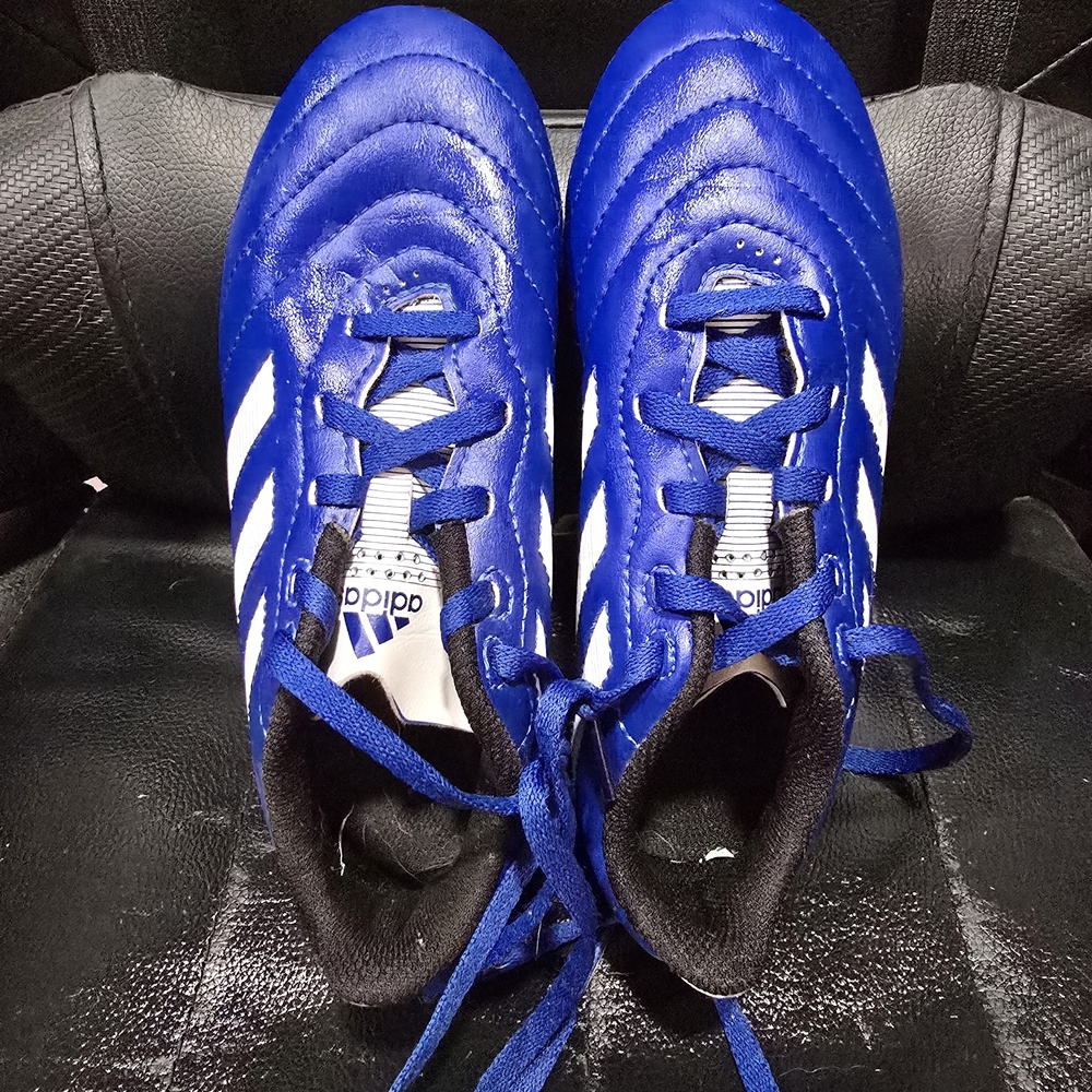 Adidas Kids Royal Blue Sneakers